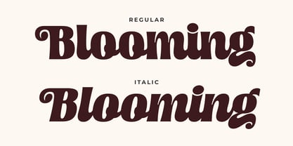 Moilenka Font Poster 10