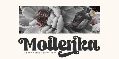 Moilenka Font Poster 1