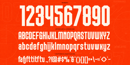 Panco Font Poster 10
