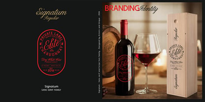Signatum Font Poster 14