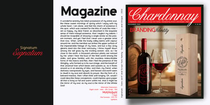 Signatum Font Poster 10