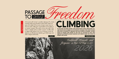 Signatum Font Poster 9