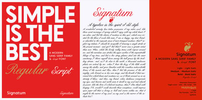 Signatum Font Poster 6