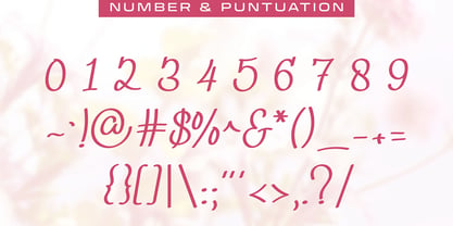Rinasari Font Poster 6