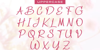 Rinasari Font Poster 5
