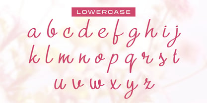 Rinasari Font Poster 4