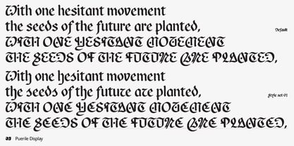 Puerile Display Font Poster 10