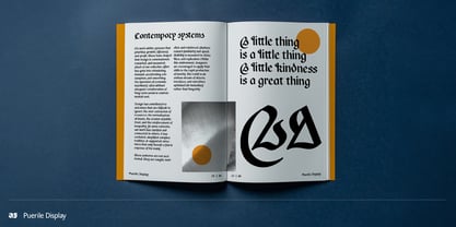 Puerile Display Font Poster 5