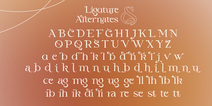 Castela Molgate Font Poster 6