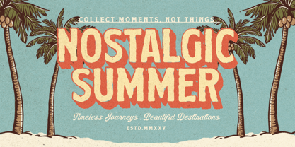 Summer Archive Font Poster 5