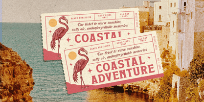 Summer Archive Font Poster 7