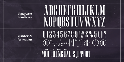 Altavera Font Poster 8