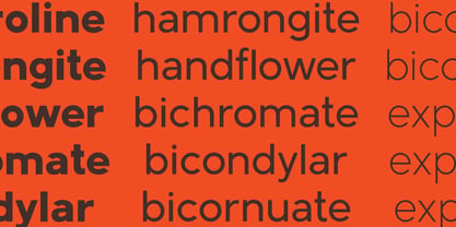 Applico Font Poster 6