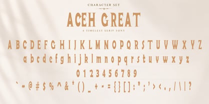 Aceh Is Great Font Poster 14