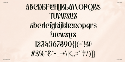 Castela Font Poster 9