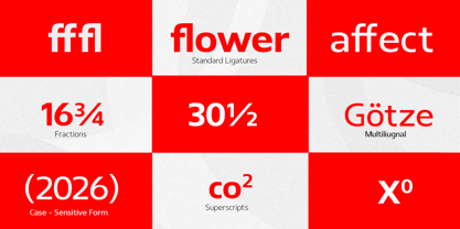 Plumeria Font Poster 7
