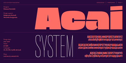 Acai System Font Poster 1