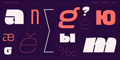 Acai System Font Poster 9