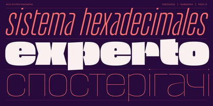 Acai System Font Poster 10
