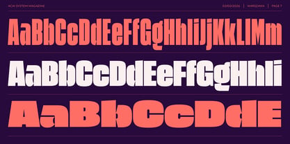 Acai System Font Poster 6