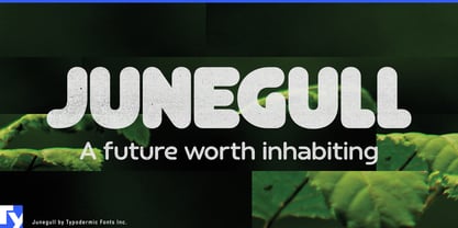 Junegull Font Poster 1