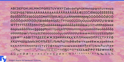 Junegull Font Poster 7