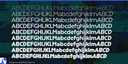 Junegull Font Poster 6