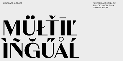 Neue Magnat Headline Font Poster 13