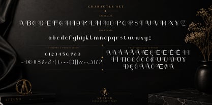 Attend Font Poster 11