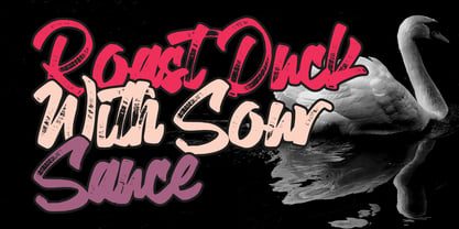 Kari Sea Font Poster 6