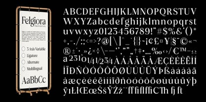 Felgiora Font Poster 14