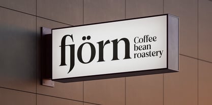 Felgiora Font Poster 11