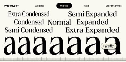Felgiora Font Poster 3