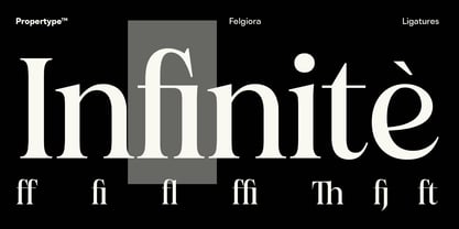 Felgiora Font Poster 15