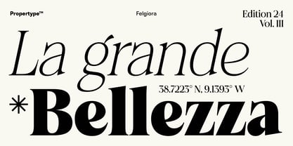 Felgiora Font Poster 7