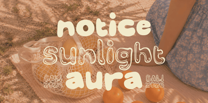 Bizza Walls Font Poster 7