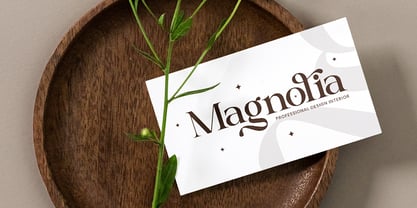 Melnora Font Poster 3