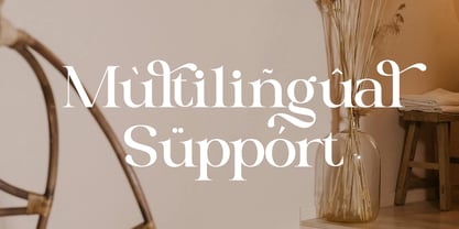 Melnora Font Poster 8