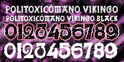 Politoxicómano Vikingo Font Poster 5