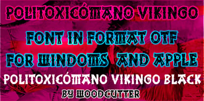 Politoxicómano Vikingo Font Poster 6