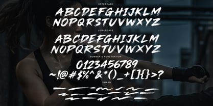 Nelyx Brush Font Poster 8