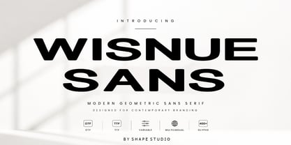 Wisnue Sans Font Poster 1