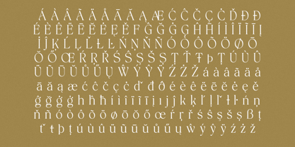 The Bilstein Editorial Font Poster 14