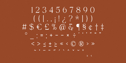 The Bilstein Editorial Font Poster 13