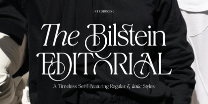 The Bilstein Editorial Font Poster 1