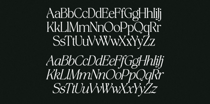 The Bilstein Editorial Font Poster 10