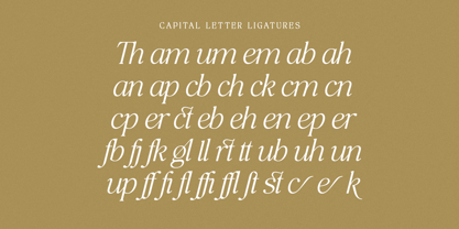The Bilstein Editorial Font Poster 12