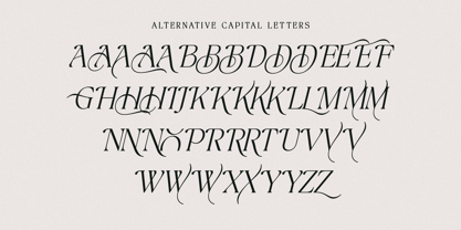 The Bilstein Editorial Font Poster 11