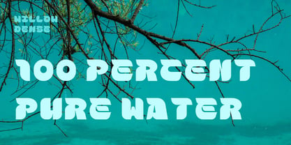 Willowdense Font Poster 6