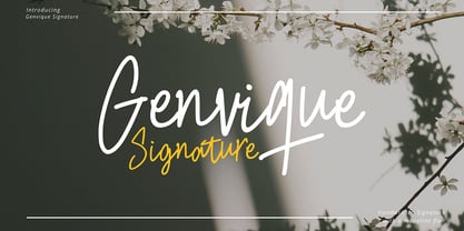 Genvique Signature Font Poster 1